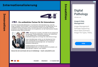 Website 
	4i-mc.de desktop preview