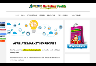 Website 
	affiliatemktprofits.com desktop preview