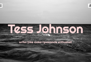 Website 
	annatessjohnson.com desktop preview