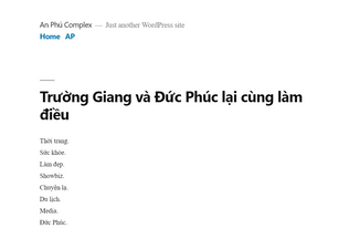 Website 
	anphucomplex.net desktop preview
