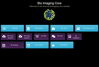 Website 
	bioimagingcore.be desktop preview