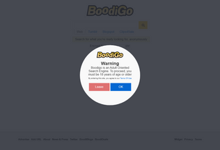 Website 
	boodigo.com desktop preview