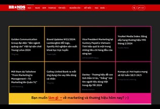 Website 
	brandsvietnam.com desktop preview