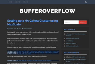 Website bufferoverflow.io desktop preview