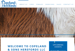 Website 
	copelandherefords.com desktop preview