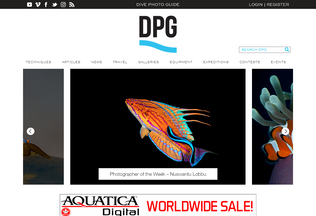 Website 
	divephotoguide.com desktop preview