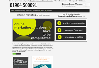 Website effective-internet-marketing.co.uk desktop preview
