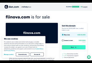 Website 
	flinova.com desktop preview