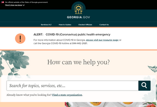 Website 
	ga.gov desktop preview