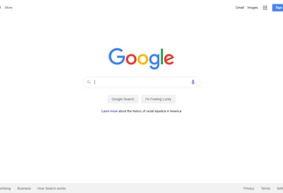 Website 
	google.ws desktop preview