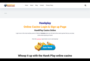 Website 
	hawk-play.net desktop preview