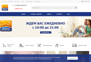 Website 
	medvediza.ru desktop preview