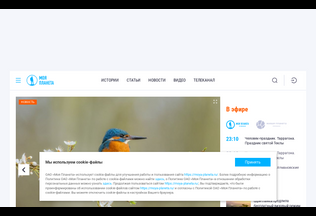 Website 
	moya-planeta.ru desktop preview