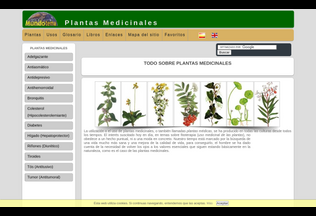 Website 
	mtplantas.com desktop preview