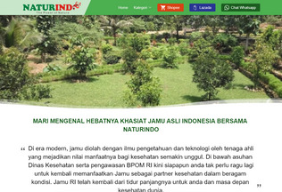 Website 
	naturindo.id desktop preview