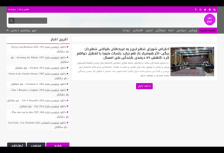 Website nmydo.ir desktop preview