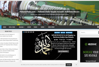 Website 
	pahamidulu.com desktop preview