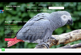 Website 
	parrotsonlinestore.com desktop preview
