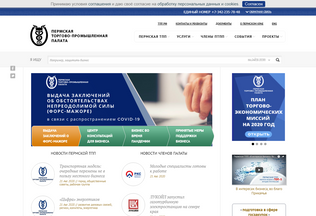 Website 
	permtpp.ru desktop preview