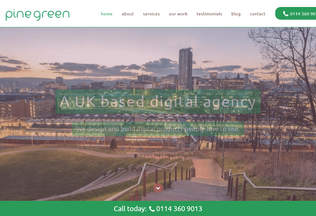 Website 
	pinegreen.co.uk desktop preview