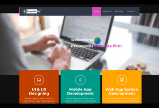 Website 
	praveenbiz.com desktop preview