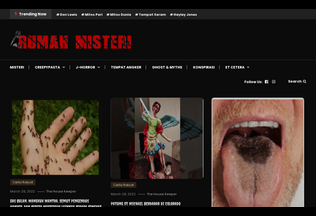 Website 
	rumahmisteri.com desktop preview