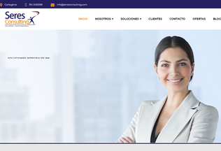 Website 
	seresconsulting.com desktop preview