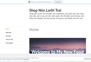 Website 
	shopnonluoitraiatee.wordpress.com desktop preview