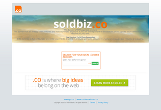Website soldbiz.co desktop preview