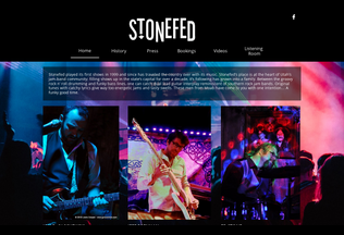 Website 
	stonefed.com desktop preview