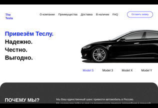 Website 
	thetesla.ru desktop preview