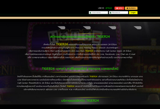 Website 
	tiger24.com desktop preview