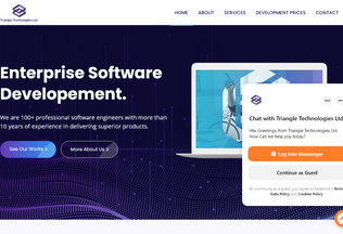 Website 
	triangeltech.com desktop preview