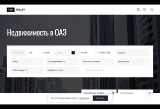 Website 
	triumf-realty.ru desktop preview