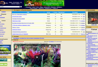 Website 
	tropica.ru desktop preview