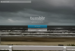 Website 
	tumblr.com desktop preview