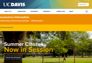 Website 
	ucdavis.edu desktop preview