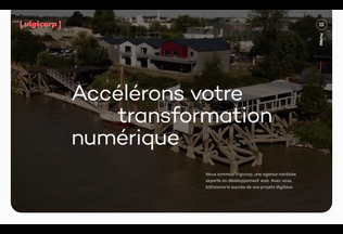 Website 
	vigicorp.fr desktop preview