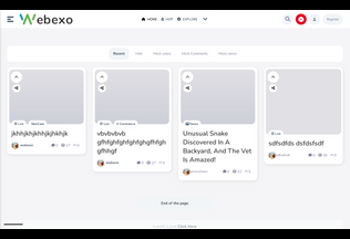 Website 
	webexo.in desktop preview