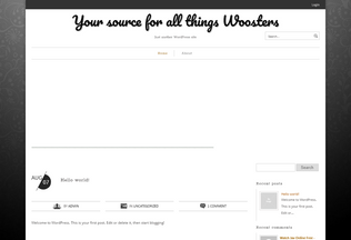 Website woostersource.co.uk desktop preview