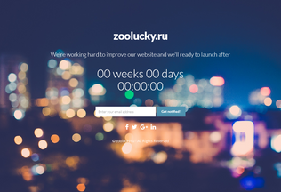 Website zoolucky.ru desktop preview